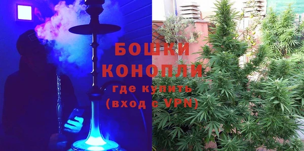 индика Балабаново