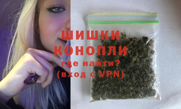 индика Балабаново
